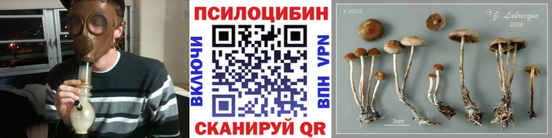 Галлюциногенные грибы Cubensis  Татарск 