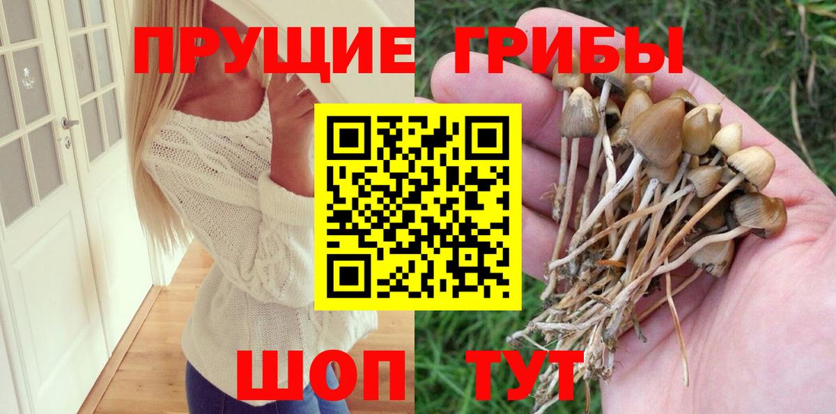 Галлюциногенные грибы ЛСД  Вход с VPN  Татарск 